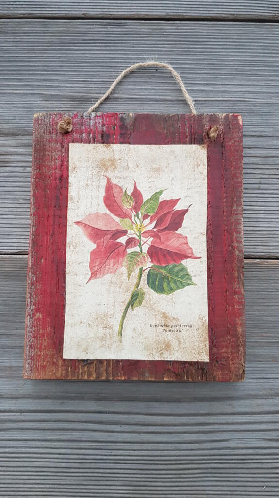 Magnolia - Country & Brocante - TARGHETTA STELLA DI NATALE 1 TARGHETTA STELLA DI NATALE