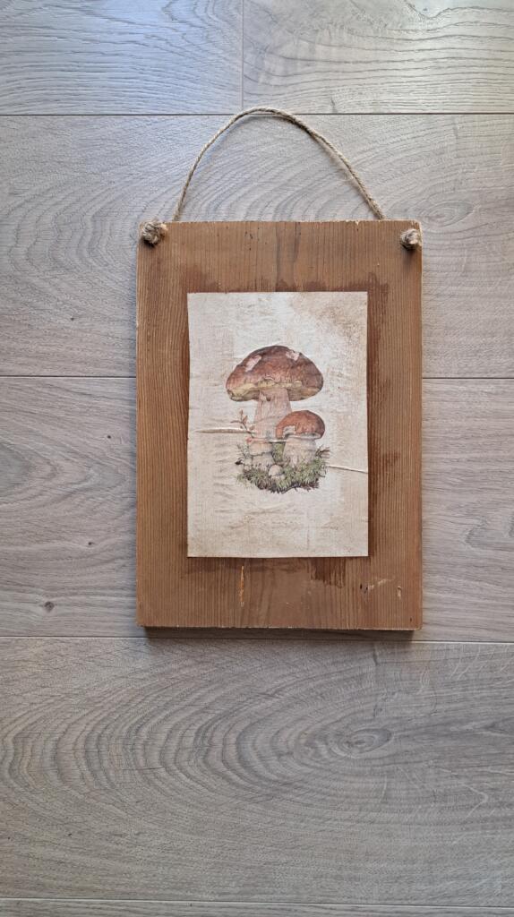 Magnolia - Country & Brocante - TARGHETTA FUNGHI 1 TARGHETTA FUNGHI