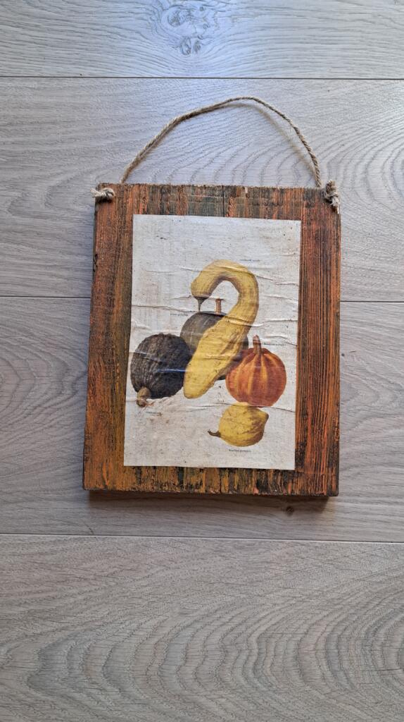 Magnolia - Country & Brocante - TARGHETTA ZUCCHE 1 TARGHETTA ZUCCHE