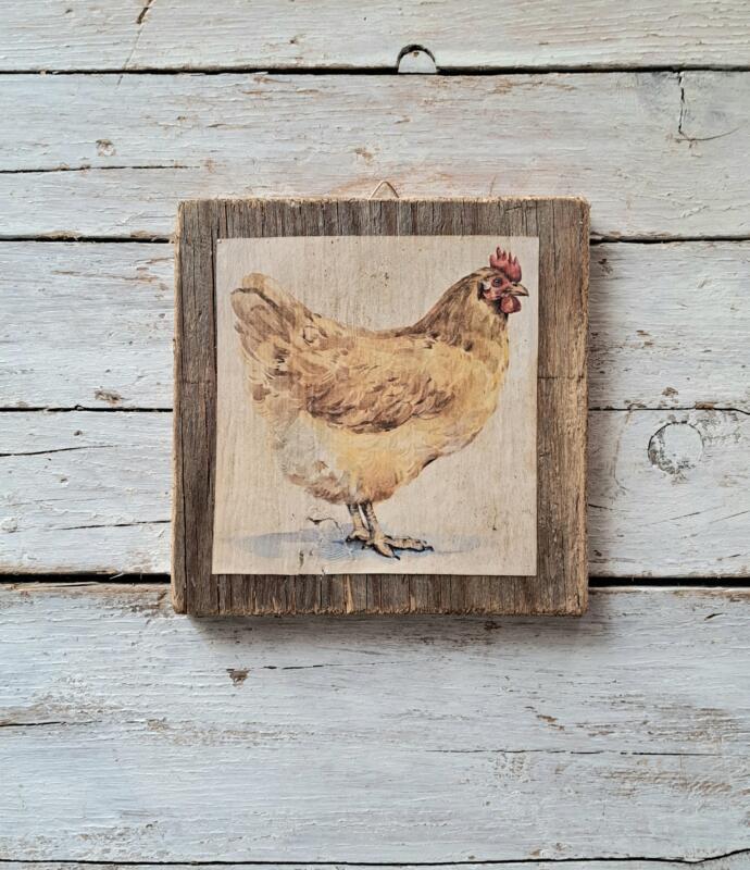 QUADRETTO CON GALLINA