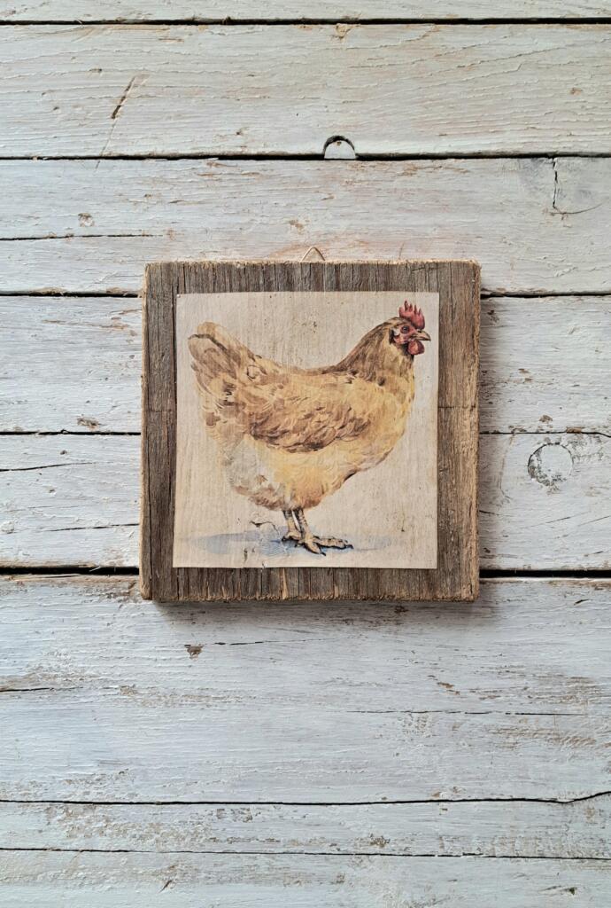 Magnolia - Country & Brocante - QUADRETTO CON GALLINA 1 QUADRETTO CON GALLINA