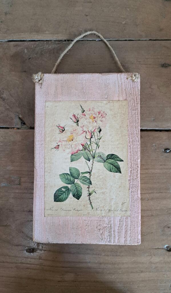 Magnolia - Country & Brocante - TARGHETTA ROSA 1 TARGHETTA ROSA