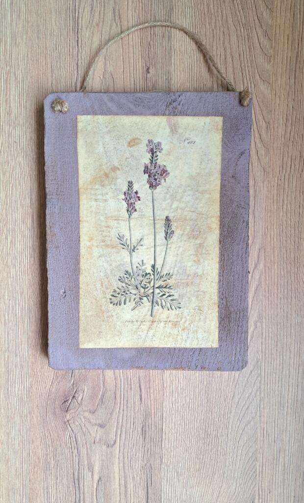 Magnolia - Country & Brocante - TARGHETTA LAVANDA 1 TARGHETTA LAVANDA