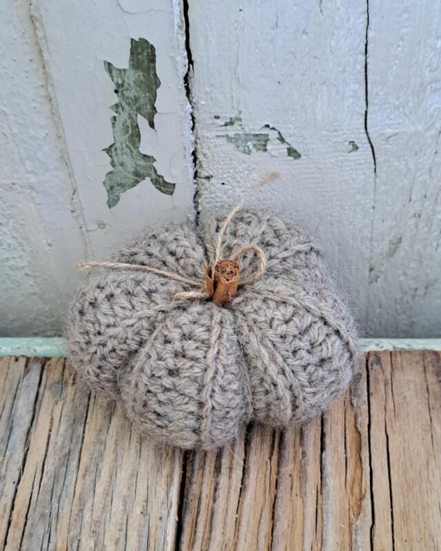 ZUCCA TORTORA