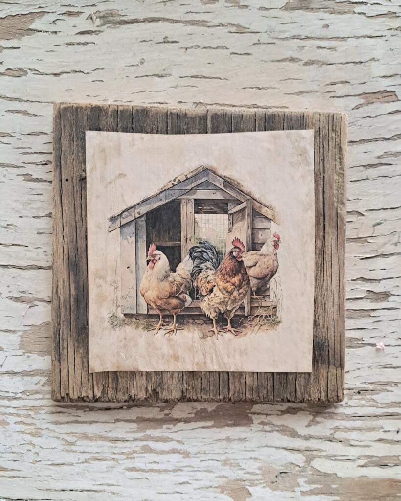 Magnolia - Country & Brocante - QUADRETTO GALLINE 1 QUADRETTO GALLINE