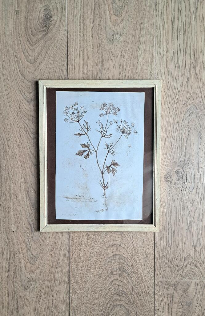 Magnolia - Country & Brocante - QUADRETTO ANICE 1 QUADRETTO ANICE