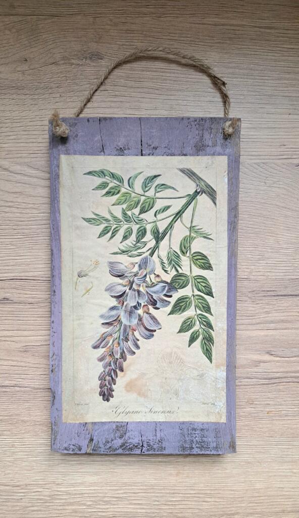 Magnolia - Country & Brocante - TARGHETTA GLICINE 1 TARGHETTA GLICINE