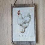 TARGHETTA GALLINA