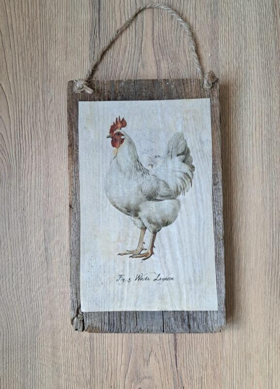TARGHETTA GALLINA