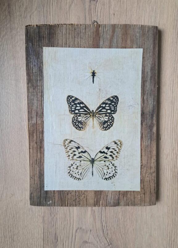 QUADRETTO FARFALLE