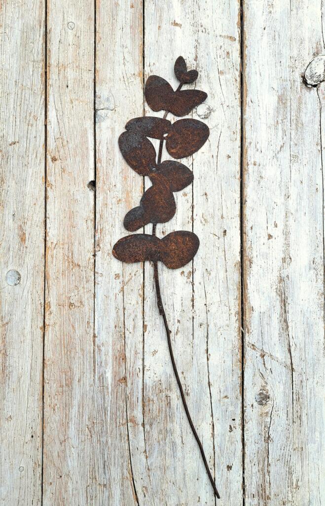 Magnolia - Country & Brocante - EUCALIPTO IN FERRO ARRUGINITO CON STELO 1 EUCALIPTO IN FERRO ARRUGINITO CON STELO