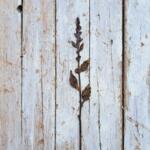 FIORE IN FERRO ARRUGINITO CON STELO