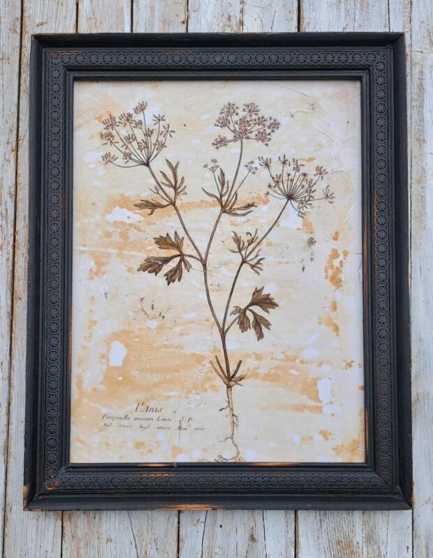 QUADRETTO STAMPA BOTANICA