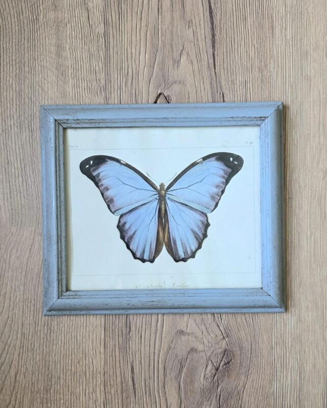 QUADRETTO STAMPA BOTANICA