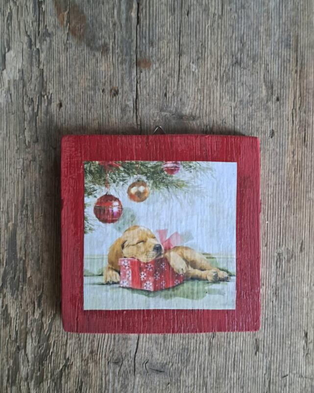 QUADRETTO CAGNOLINO