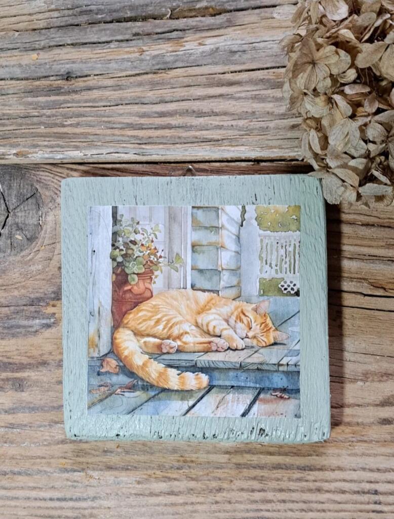 Magnolia - Country & Brocante - QUADRETTO GATTINO 1 QUADRETTO GATTINO