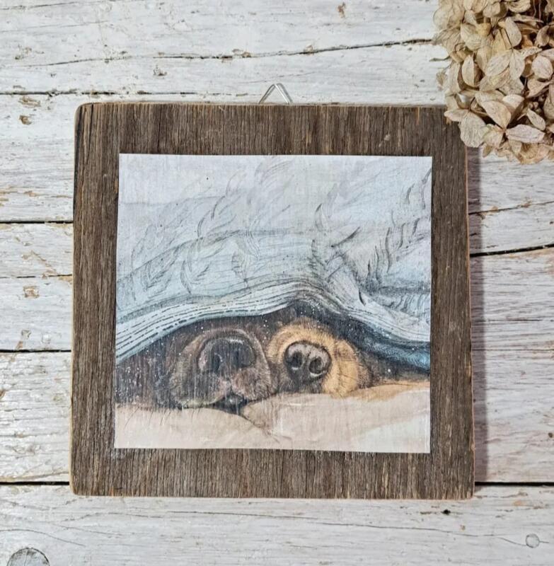 QUADRETTO CAGNOLINI