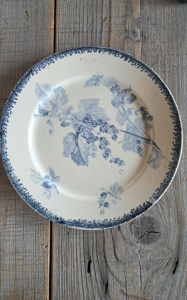 Magnolia - Country & Brocante - PIATTO DA DESSERT SARREGUEMINES GROSEILLES 1 PIATTO DA DESSERT SARREGUEMINES GROSEILLES
