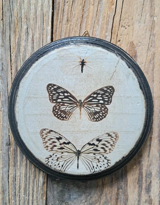 QUADRETTO ROTONDO IN LEGNO