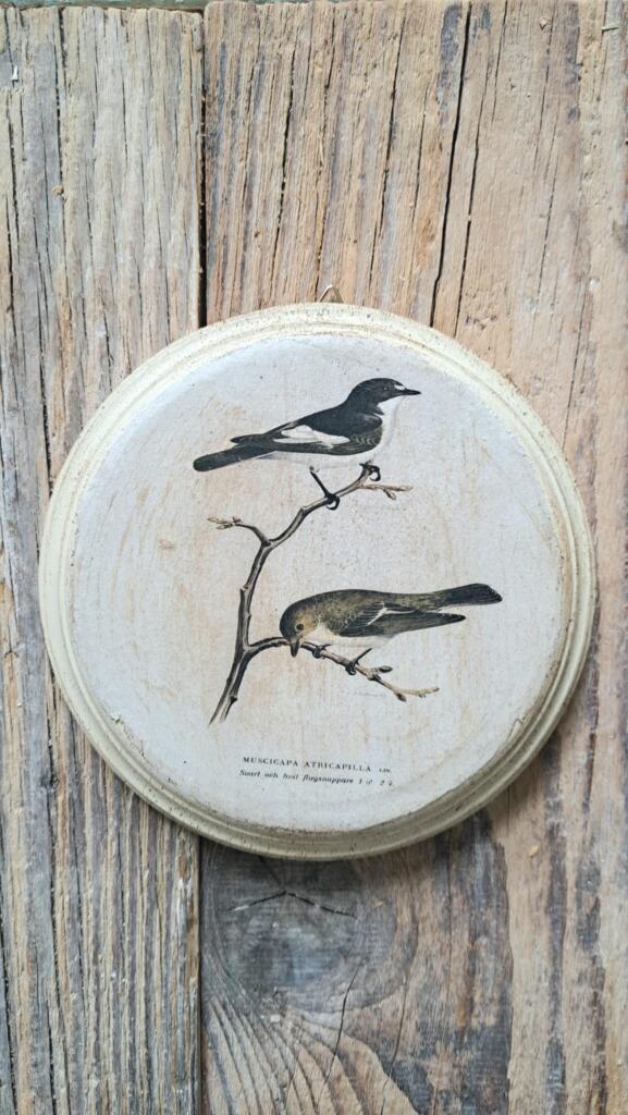 Magnolia - Country & Brocante - QUADRETTO ROTONDO IN LEGNO 1 QUADRETTO ROTONDO IN LEGNO