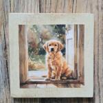 QUADRETTO CAGNOLINO