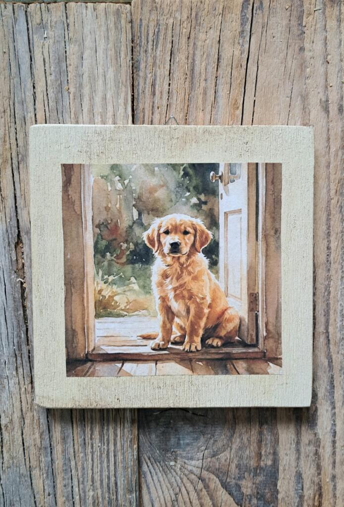 Magnolia - Country & Brocante - QUADRETTO CAGNOLINO 1 QUADRETTO CAGNOLINO
