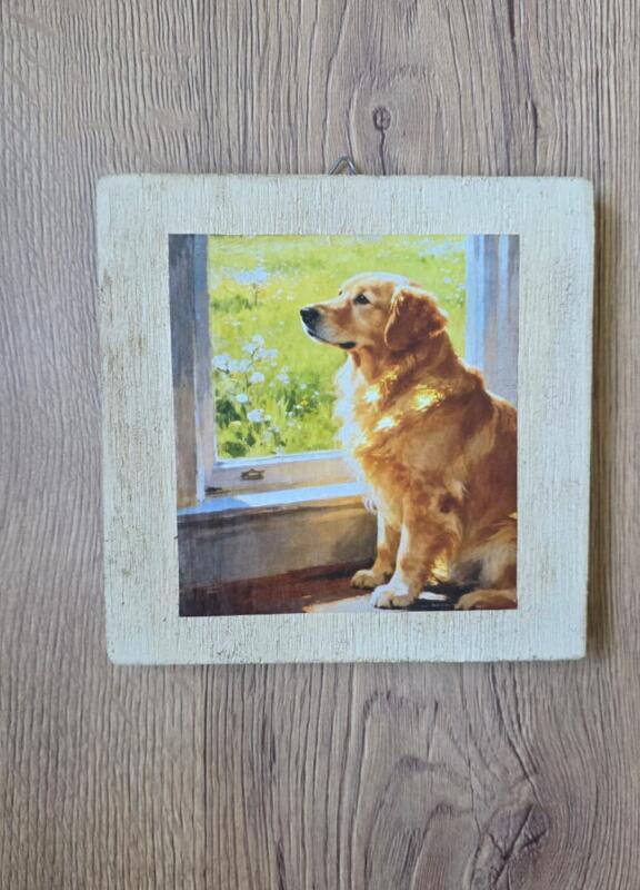 QUADRETTO CAGNOLINO