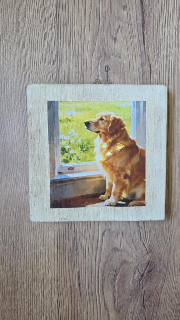 Magnolia - Country & Brocante - QUADRETTO CAGNOLINO 1 QUADRETTO CAGNOLINO