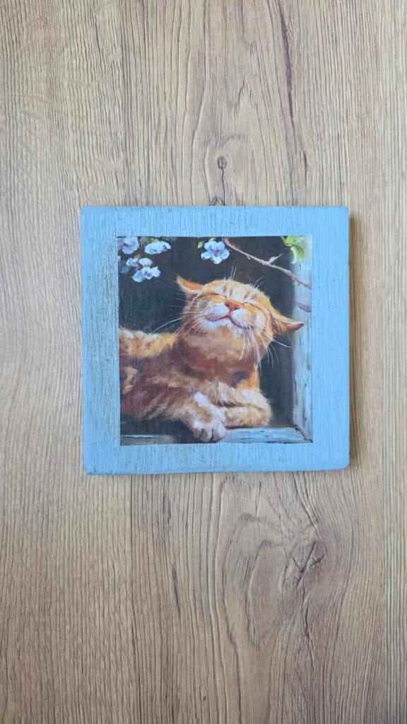 Magnolia - Country & Brocante - QUADRETTO GATTINO 1 QUADRETTO GATTINO